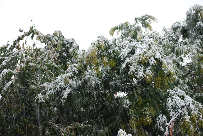 october snow