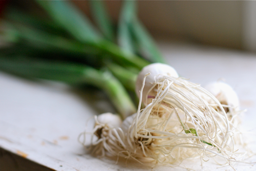 spring garlic