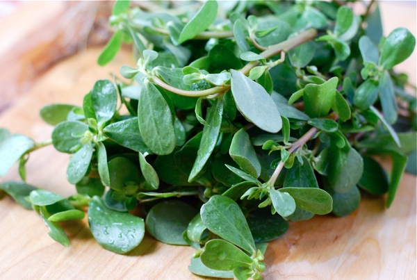 Purslane via brooklynsupper.net