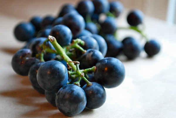 Now in season: concord grapes, via brooklynsupper.net; © Brooklyn Supper, all rights reserved