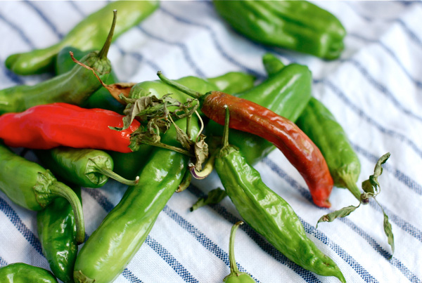 Shishito peppers, via brooklynsupper.net; © Brooklyn Supper, all rights reserved