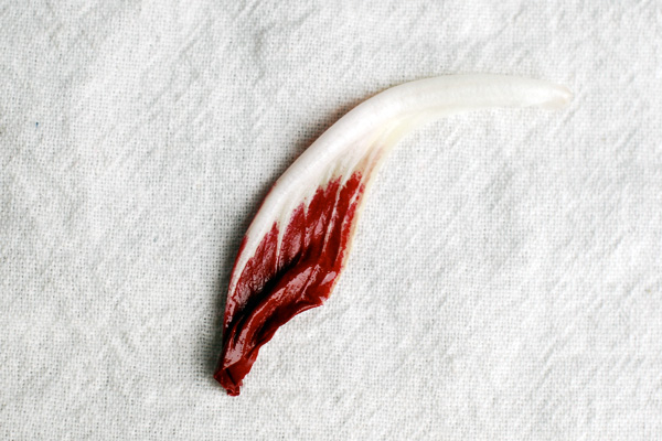 Now in season: radicchio, via brroklynsupper.net; © Brooklyn Supper, all rights reserved