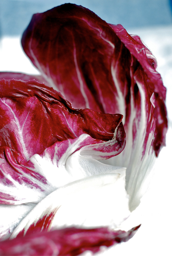 Now in season: radicchio, via brroklynsupper.net; © Brooklyn Supper, all rights reserved