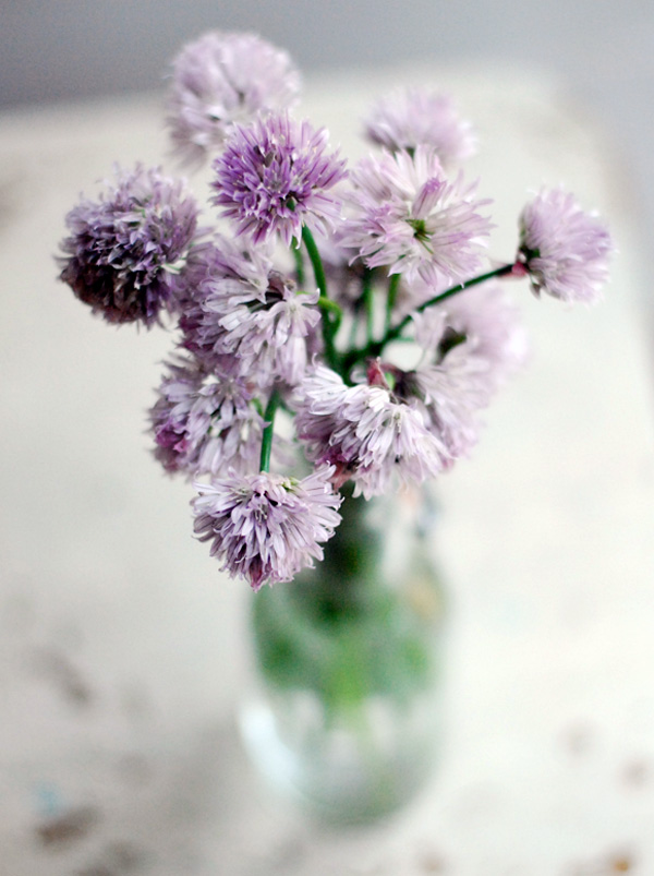 Dried Garlic Chive Flowers - E's Florals