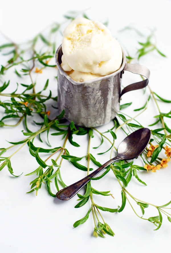 lemon verbena buttermilk ice cream // brooklyn supper