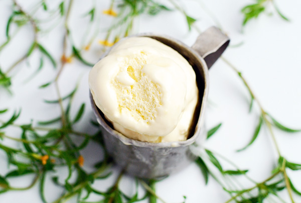 lemon verbena buttermilk ice cream // brooklyn supper