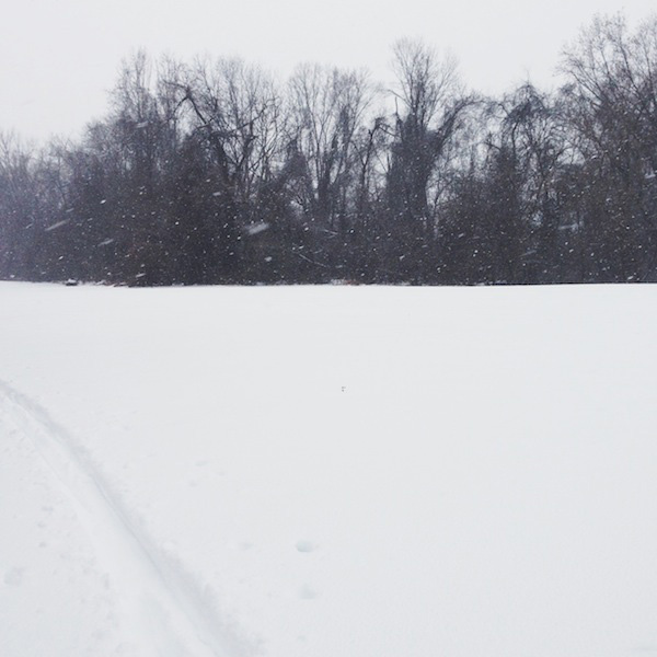 snowy field // brooklyn supper