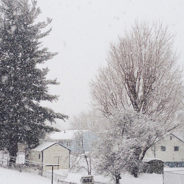 snowy neighborhood // brooklyn supper