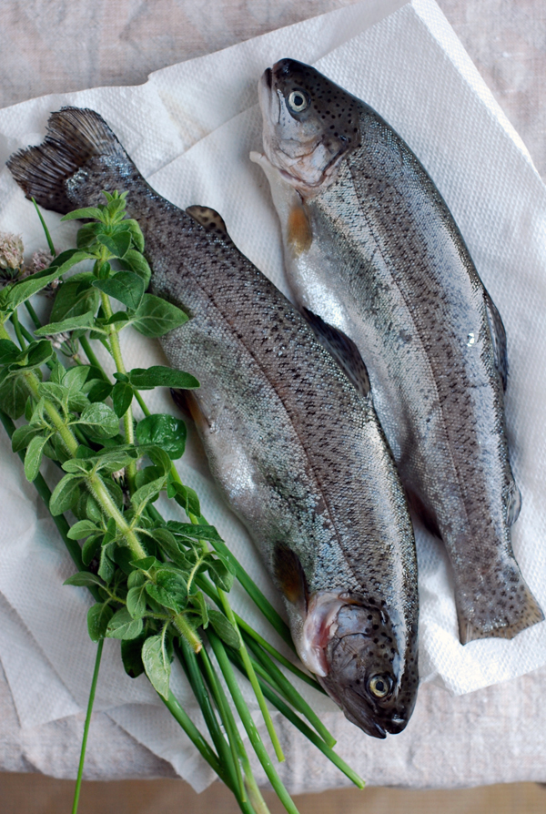 grilled trout + roasted turnips with ramps // brooklyn supper