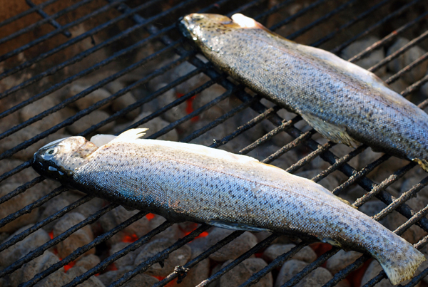 grilled trout // brooklyn supper
