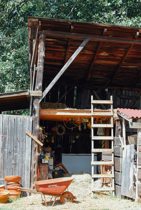 caromont farm, meet yer eats farm tour // brooklyn supper