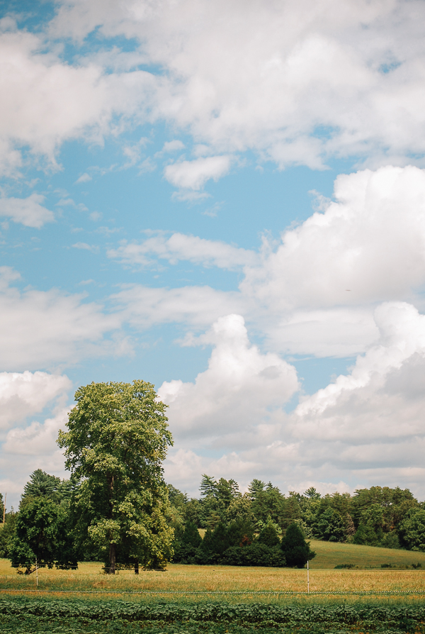 bell air farm, meet yer eats farm tour // brooklyn supper