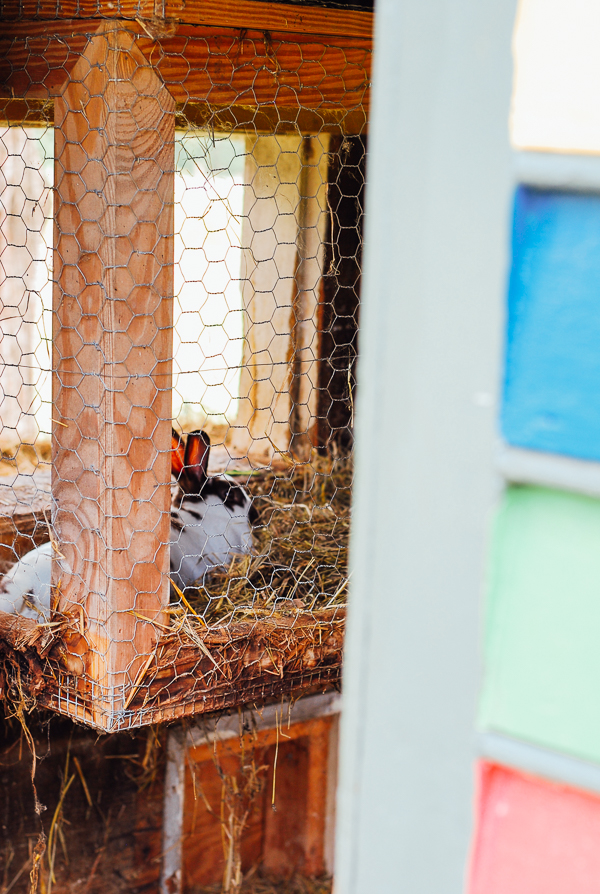 bell air farm, meet yer eats farm tour // brooklyn supper