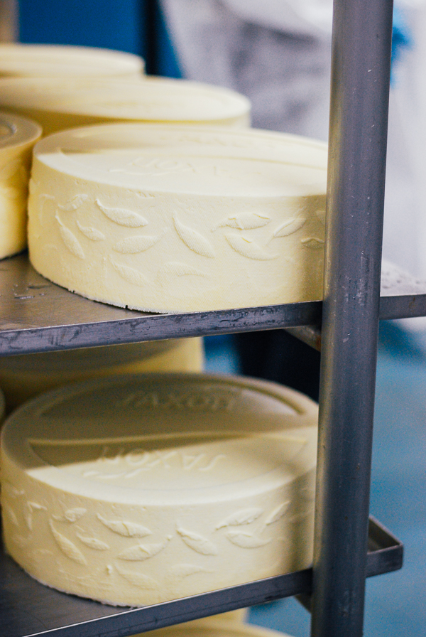 wisconsin cheese tour - saxon creamery // brooklyn supper