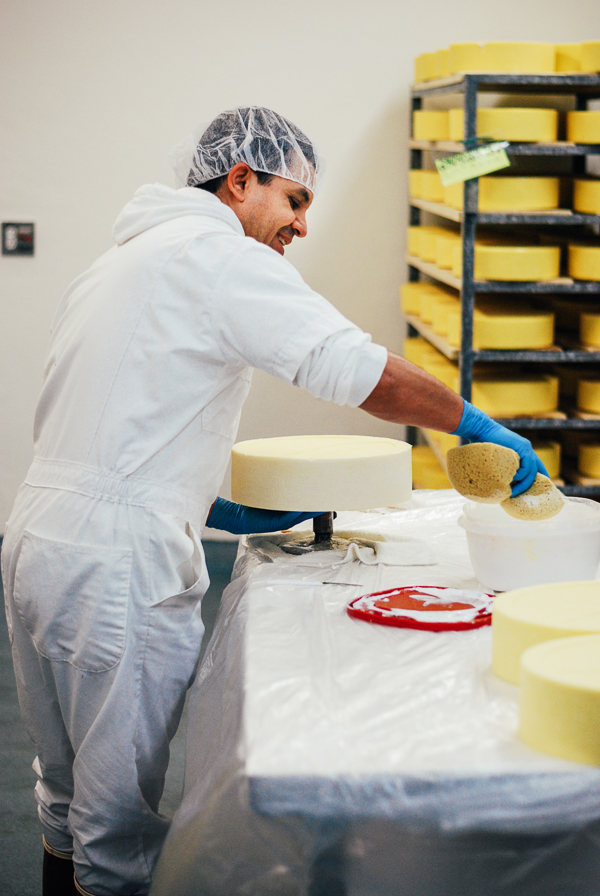 wisconsin cheese tour - saxon creamery // brooklyn supper