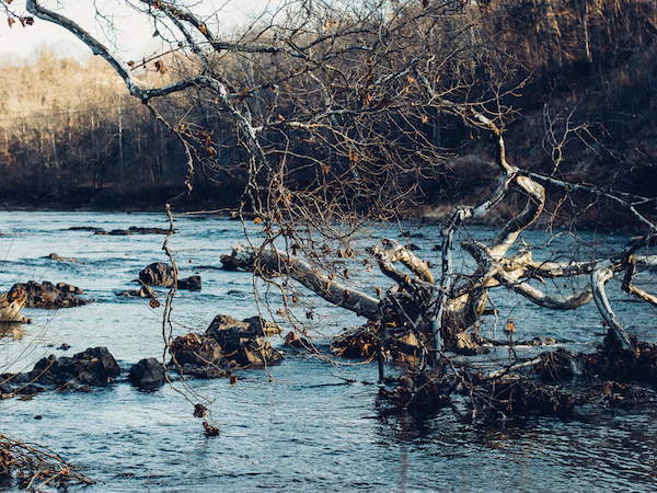 rivanna river in winter // brooklyn supper