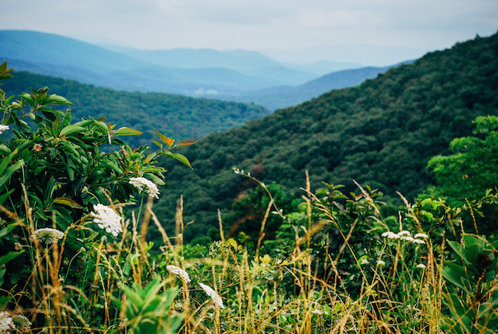 blue ridge mountains // brooklyn supper