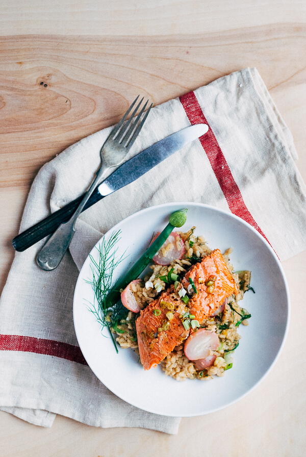 broiled salmon with fennel and radish risotto // brooklyn supper