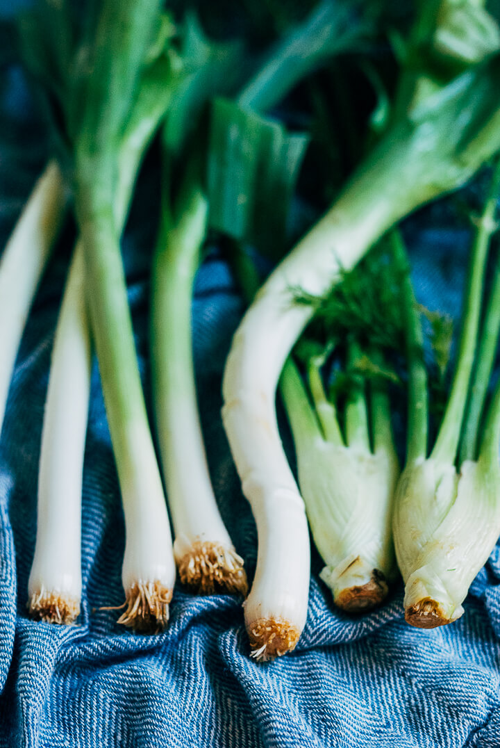 potato, leek and fennel soup // brooklyn supper