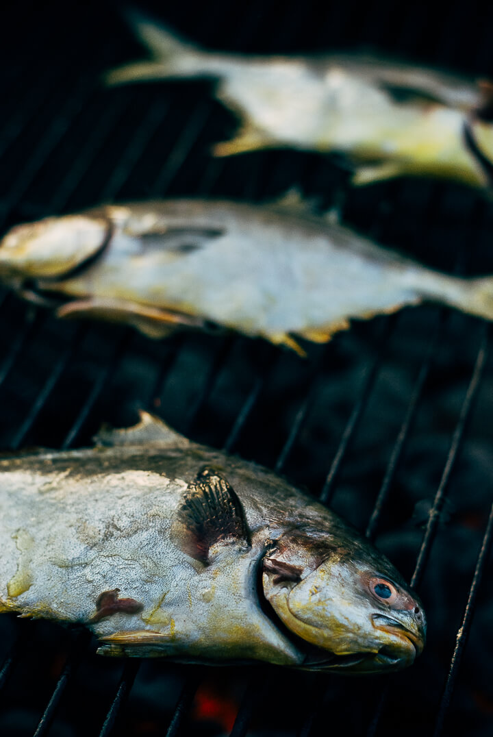 grilled pampano and summer vegetables // brooklyn supper