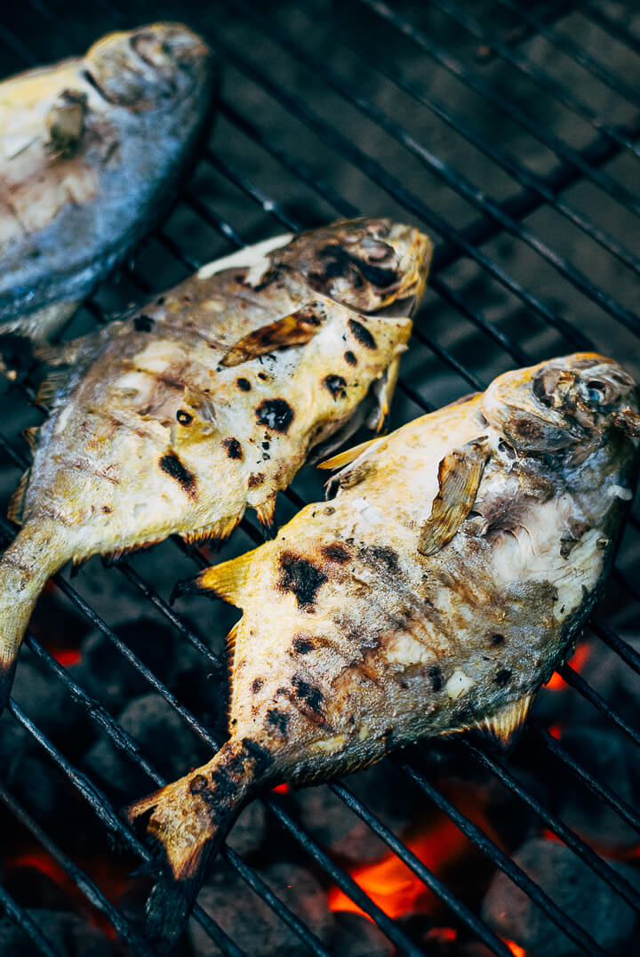 grilled pampano and summer vegetables // brooklyn supper