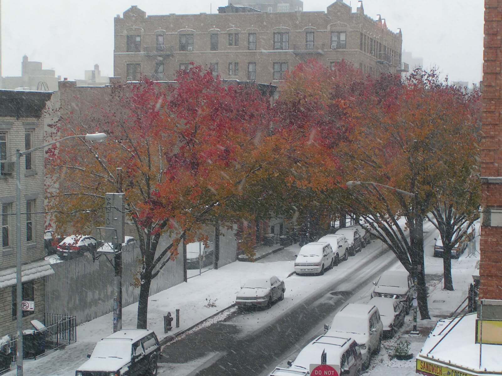 fall snow in Brooklyn 