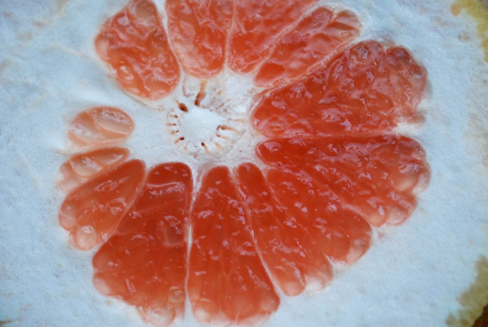 Grapefruit Curd Tart