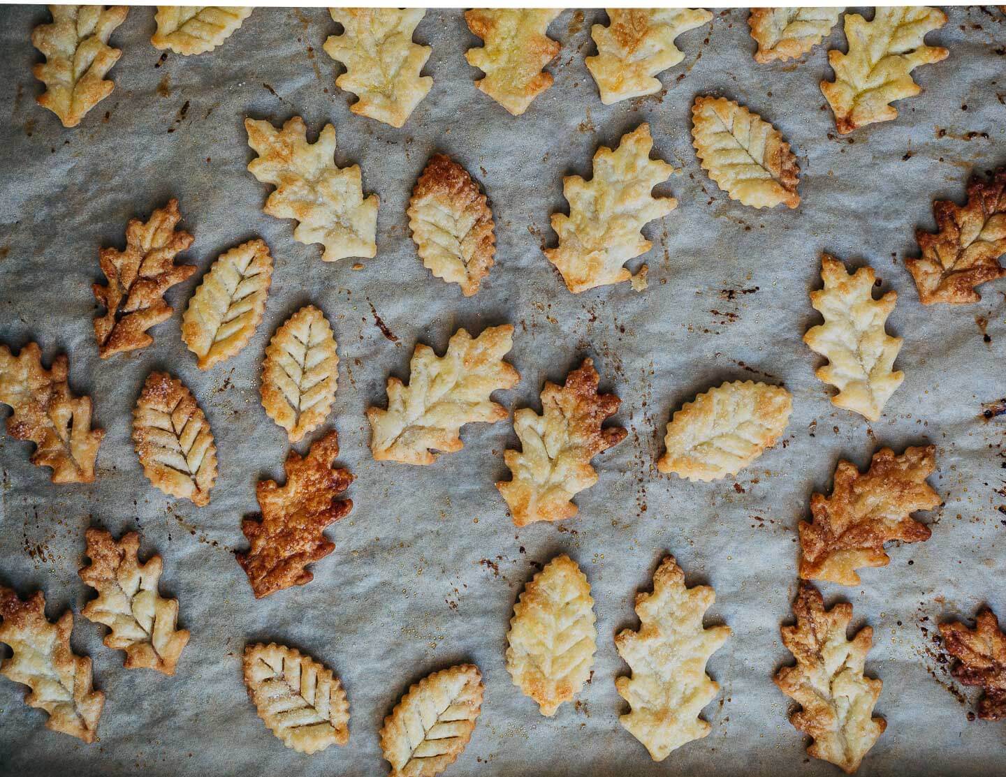 A sheet pan with baked decorative pastry leaves. 