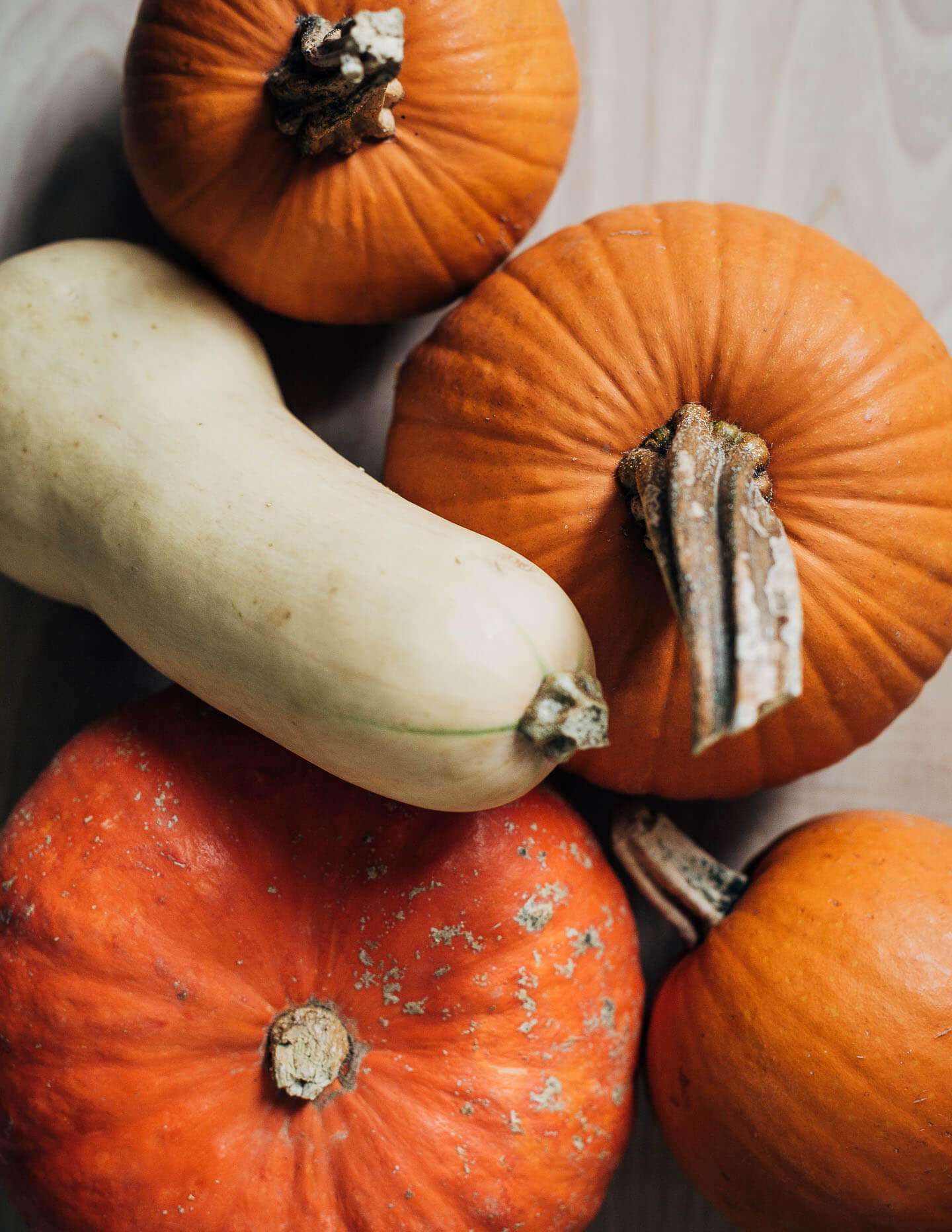 Various pumpkins and squash on a table. 