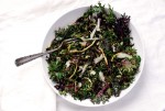 A bowl filled with kale salad.