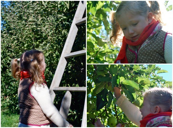 Various views of a child in an apple orchard