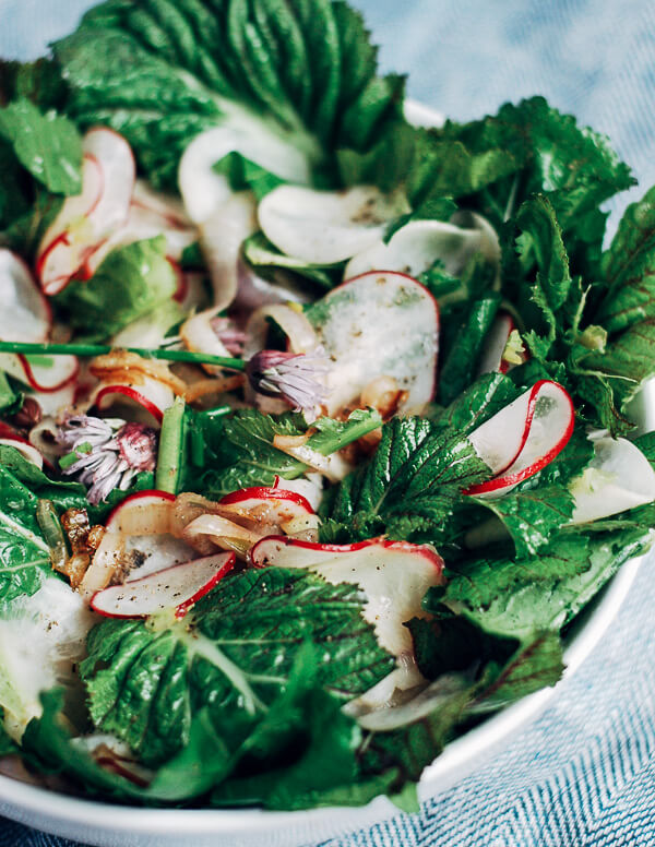 A bowl filled with salad, with green, turnips, and radishes. 