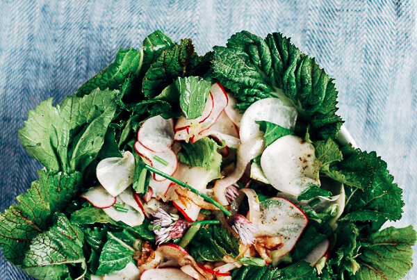 A bowl filled with salad, with green, turnips, and radishes. 