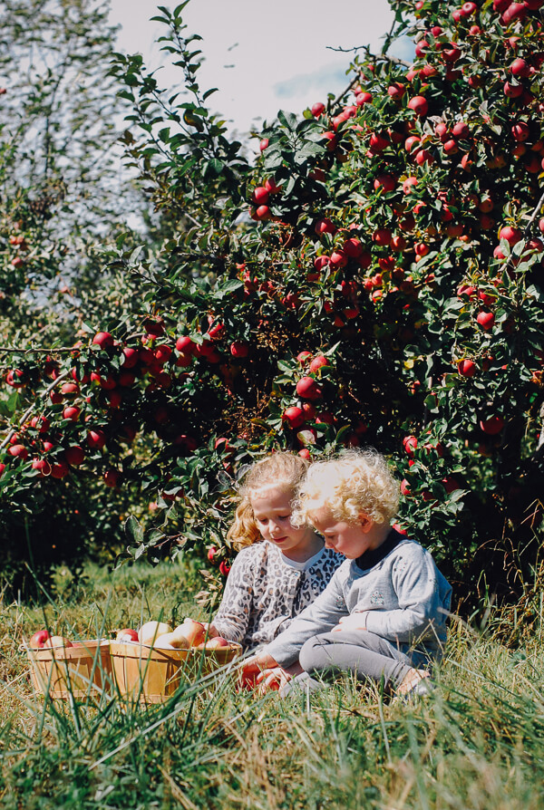 Two young kids sitting in an apple orchard with 2 bushels of apples