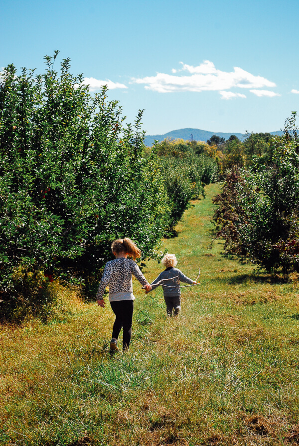 Kids running through a lush apple orchard with the Blue Ridge mountains in the background.