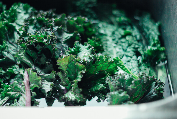 Kale rinsing in a sink.