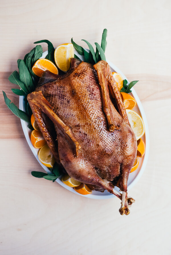 A roasted goose on a platter with sliced citrus. 