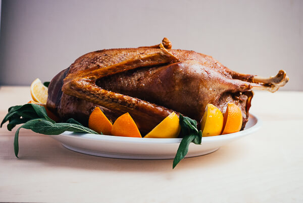 A roasted goose on a platter with sliced citrus. 