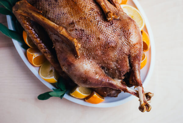 A roasted goose on a platter with sliced citrus. 