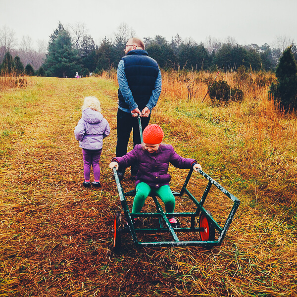 A man pulling a Christmas tree cart through a field. One child rides on the cart and another walks alongside. 