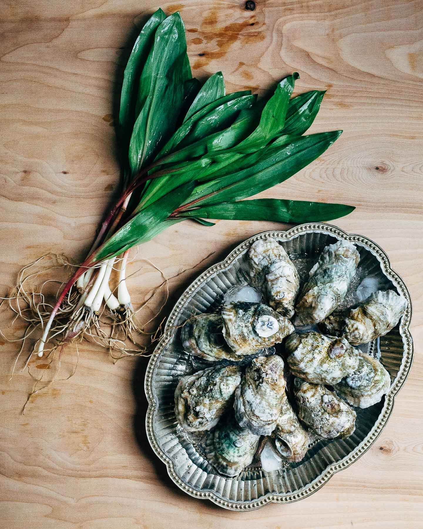 broiled oysters with ramp butter // brooklyn supper