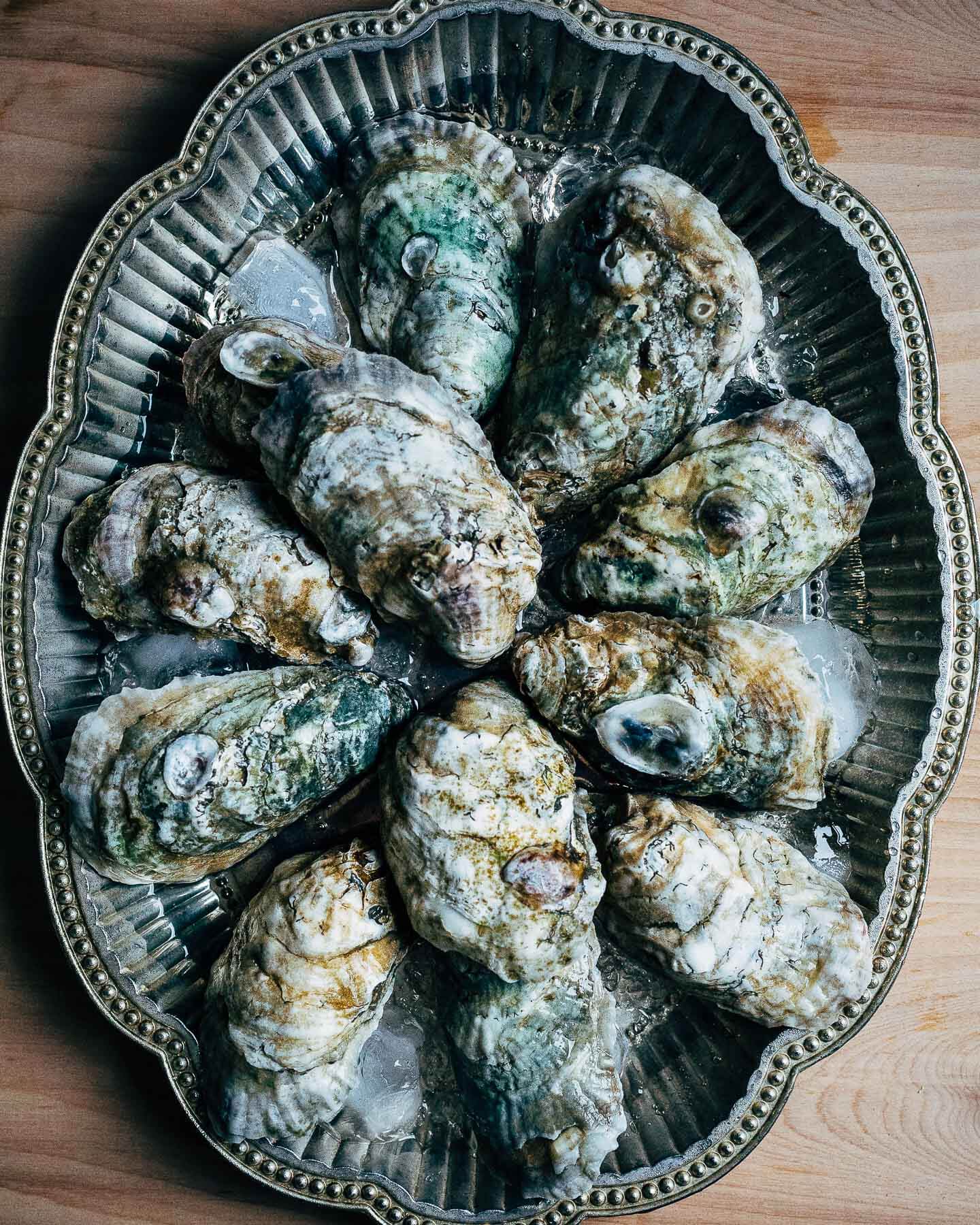 broiled oysters with ramp butter // brooklyn supper