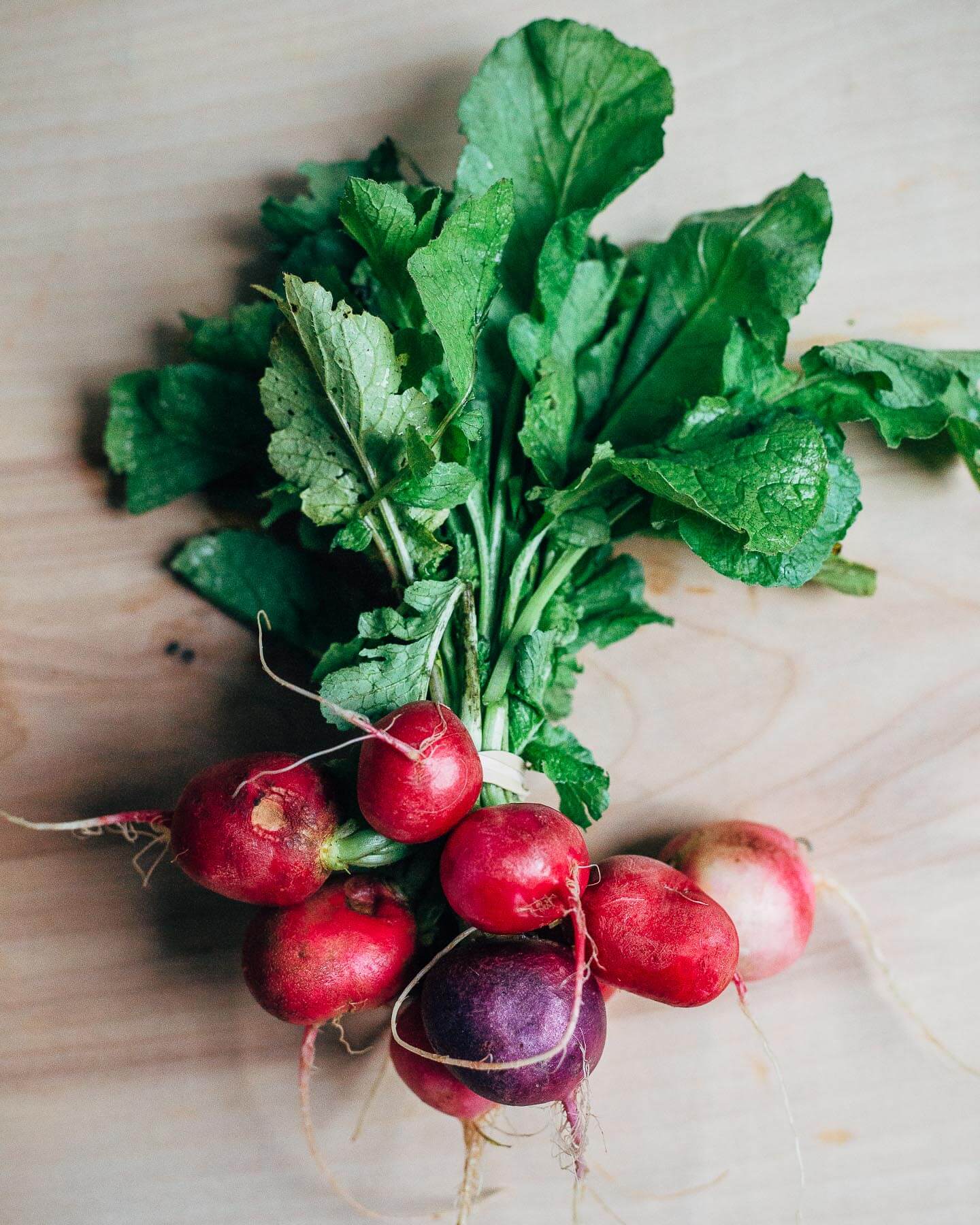 radish and asparagus flatbreads with ricotta // brooklyn supper