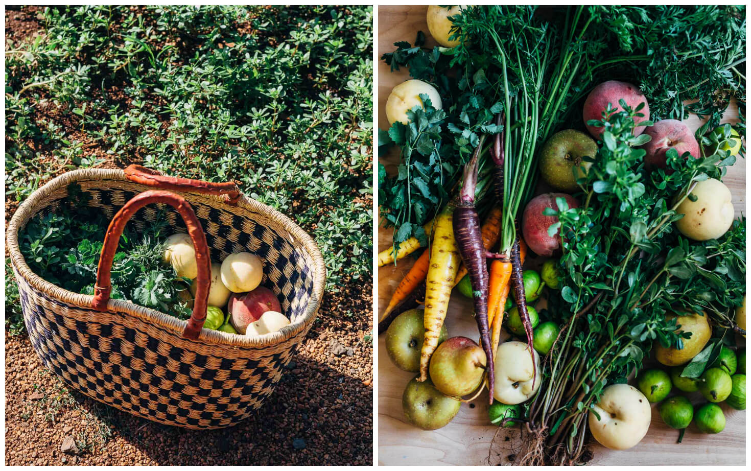 the vegetable garden at monticello // brooklyn supper