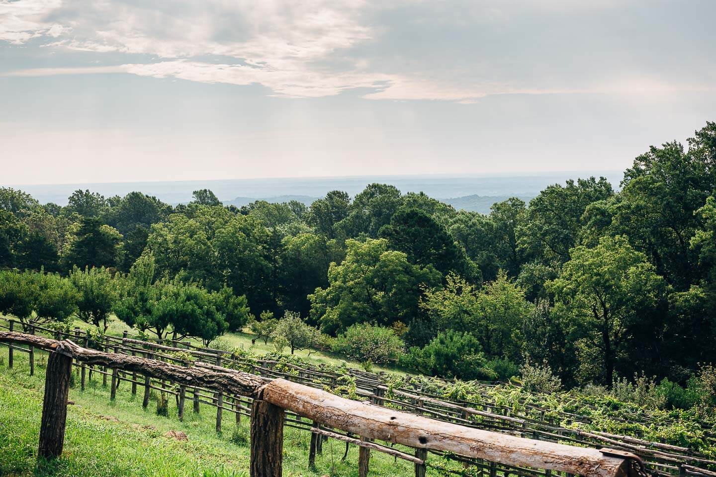 the vegetable garden at monticello // brooklyn supper