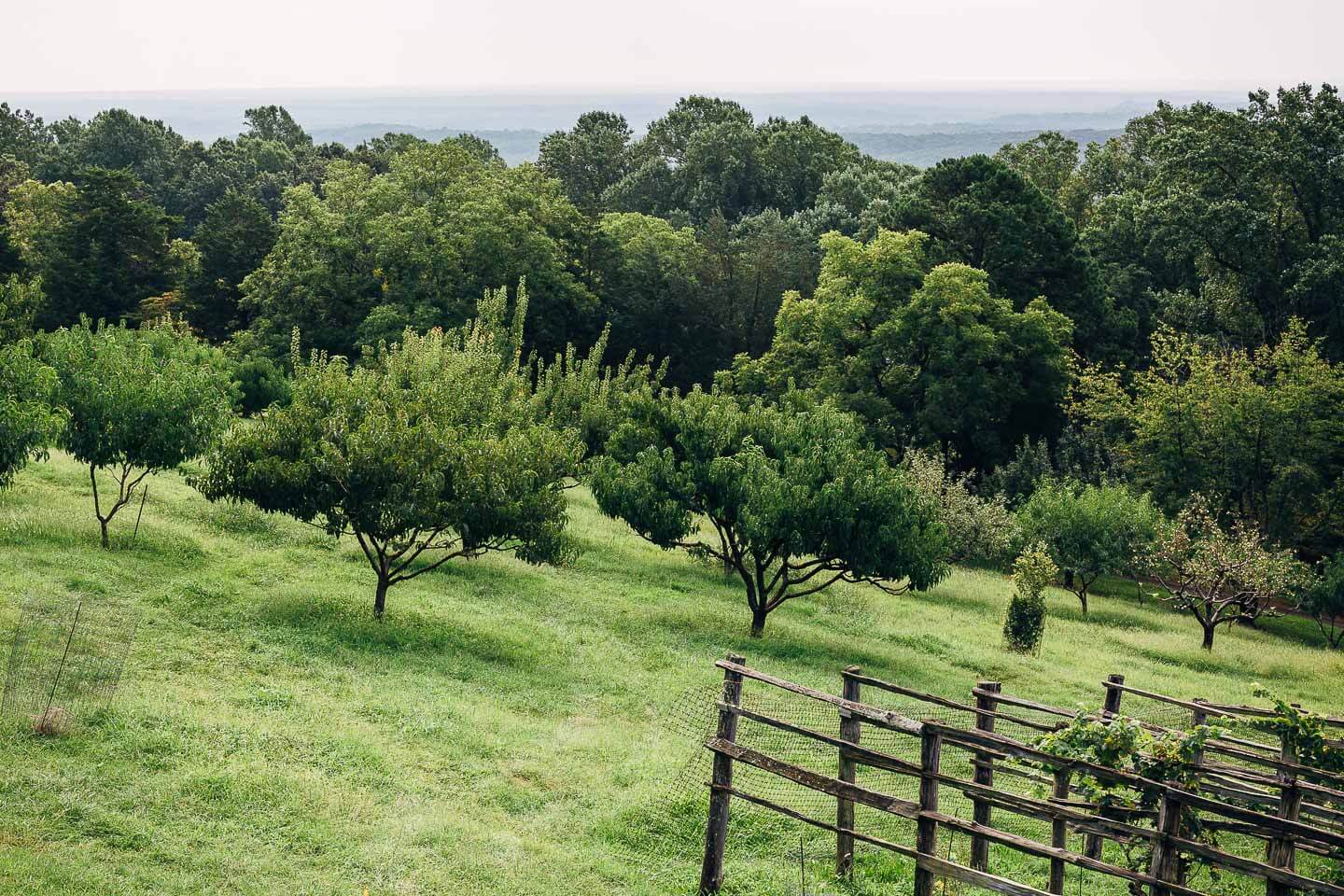 thomas jefferson's monticello // brooklyn supper