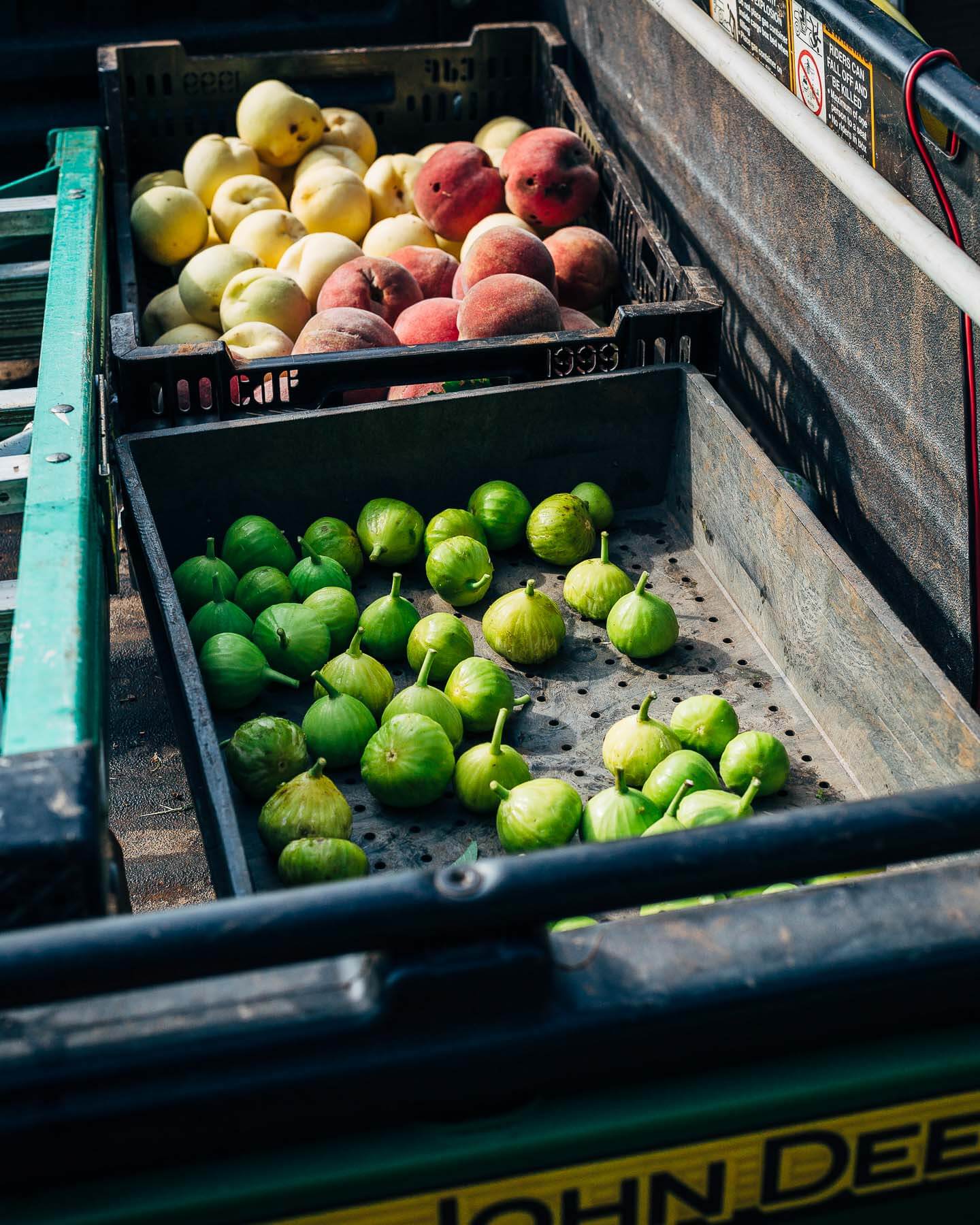 figs and peaches from the monticello orchards // brooklyn supper