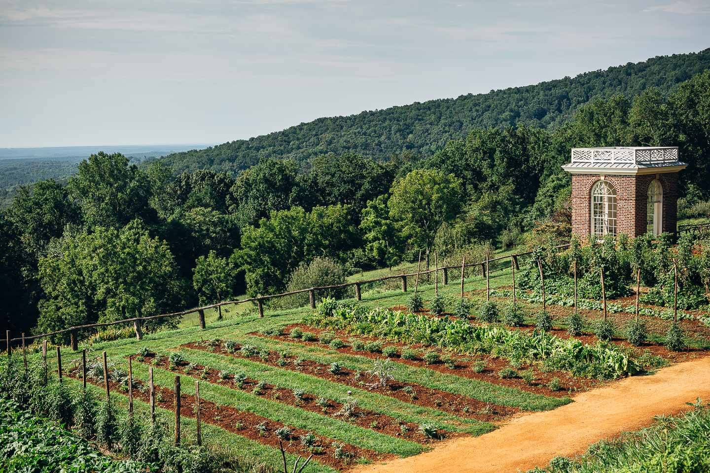 the vegetable garden at monticello // brooklyn supper