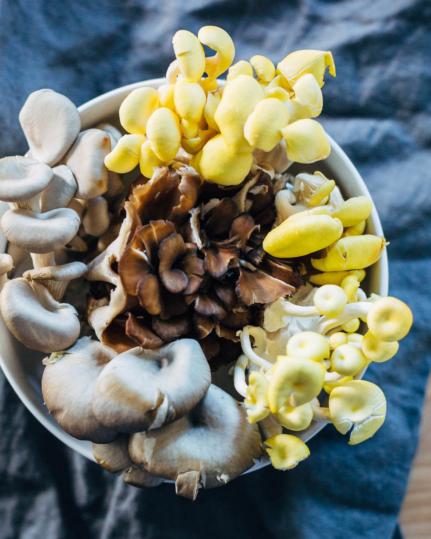 brown butter mushroom orecchiette // brooklyn supper