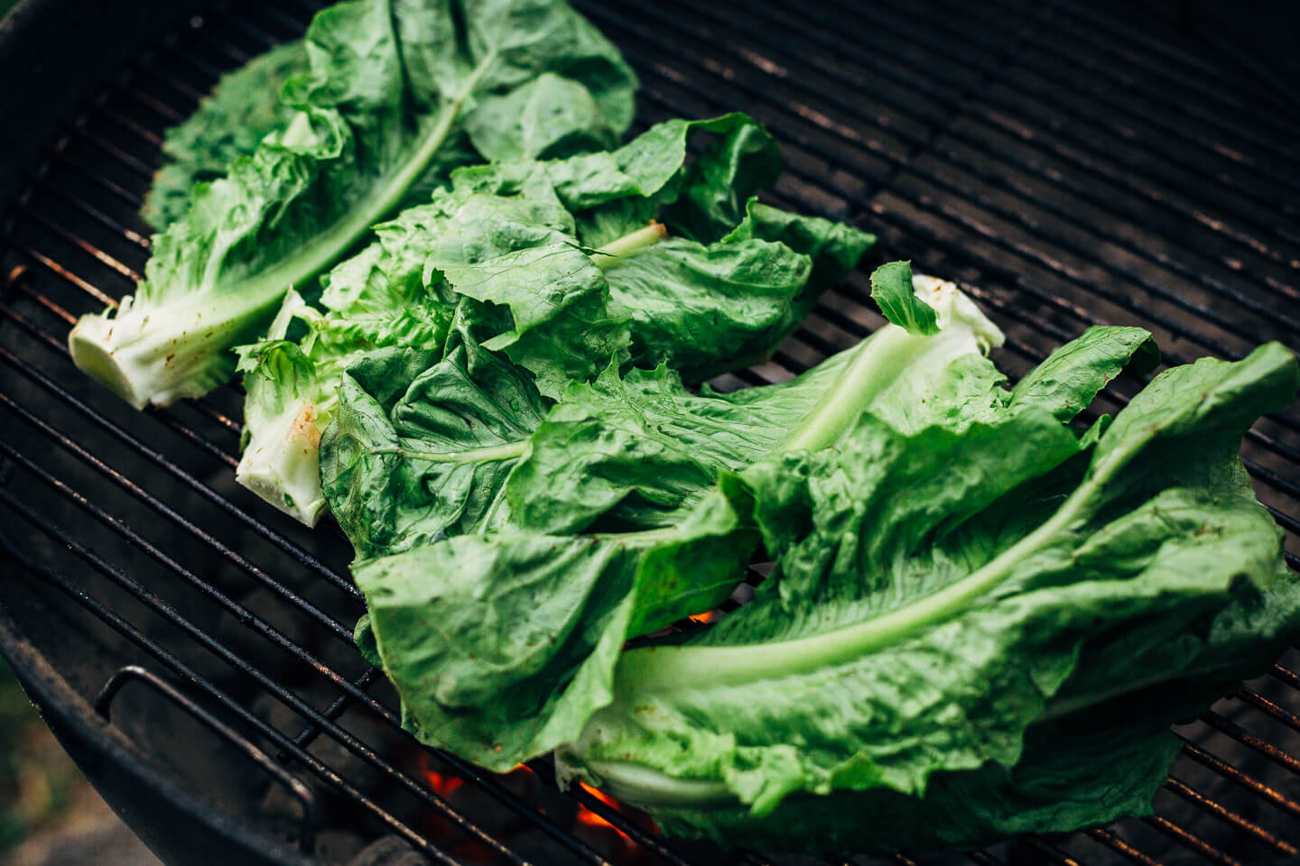 grilled romaine hearts with avocado-kefir green goddess dressing // brooklyn supper